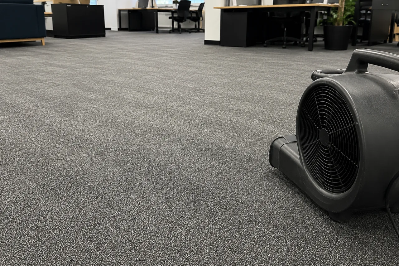 Carpet & floor care work by Jelly Bean Clean
